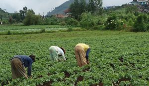 El avalúo: la reforma tributaria silenciosa contra el campo