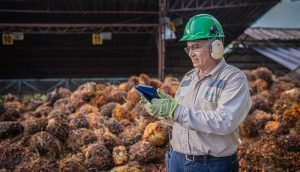 Agroexportadores advierten que la revaluación del peso pone en riesgo la base productiva de Colombia