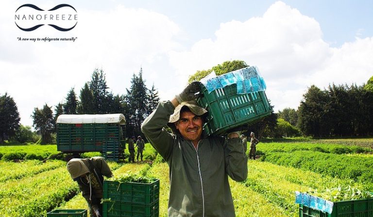 Nanotecnología: El Eslabón Perdido para una Cadena de Frío Sostenible y Eficiente