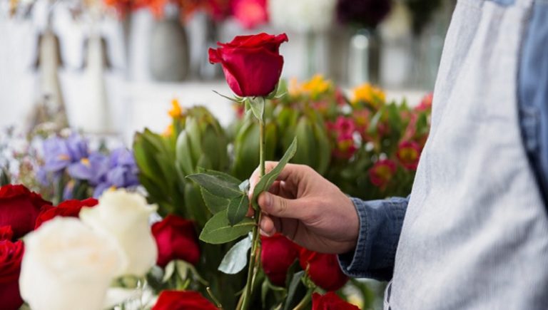 La floricultura colombiana fortalece la competitividad exportadora