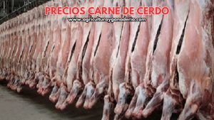 Precios de la carne de cerdo en canal en Bogotá
