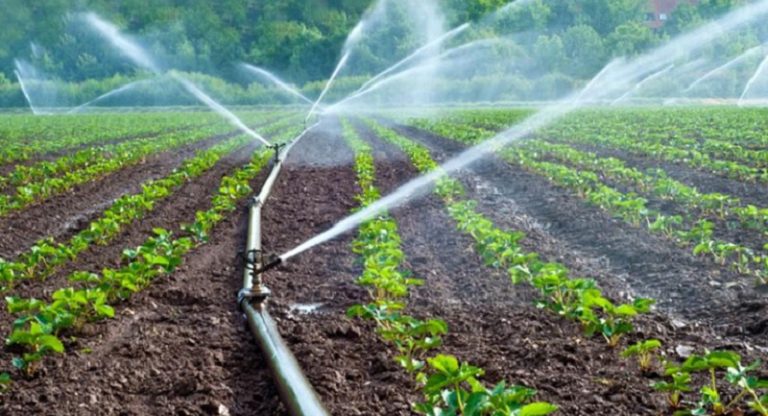 Habilitan millonarios recursos para adquirir seguro agropecuario