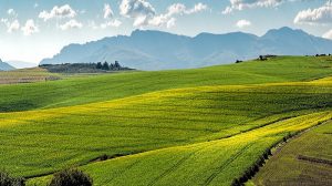 Construir sistemas agroalimentarios resilientes protegiendo nuestros ecosistemas