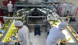 Agenda para la Competitividad y la Transformación del Agro Colombiano