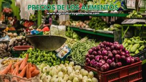Precios mayoristas de los alimentos en Bogotá