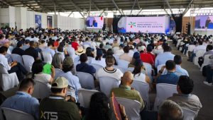 Cenipalma respalda líneas de acción para fortalecer la palmicultura colombiana