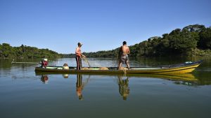 El 85,4% de las unidades productivas en las municipalidades amazónicas pertenecen a la agricultura familiar