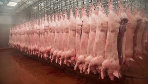 Colombia abre una nueva puerta de exportación para sus carnes en Filipinas