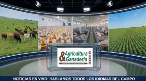 Agricultura & Ganadería: El Noticiero